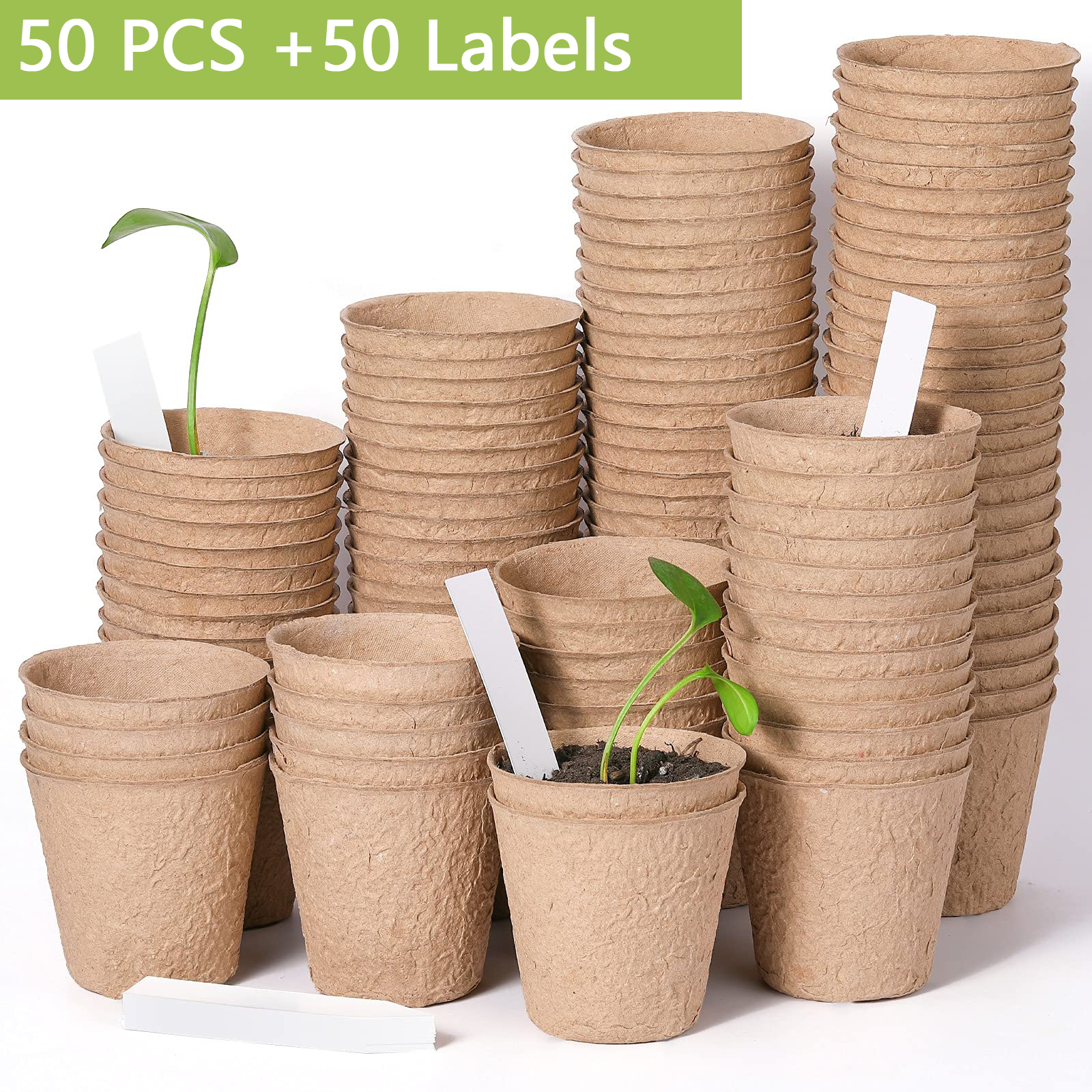 50PCS with labels